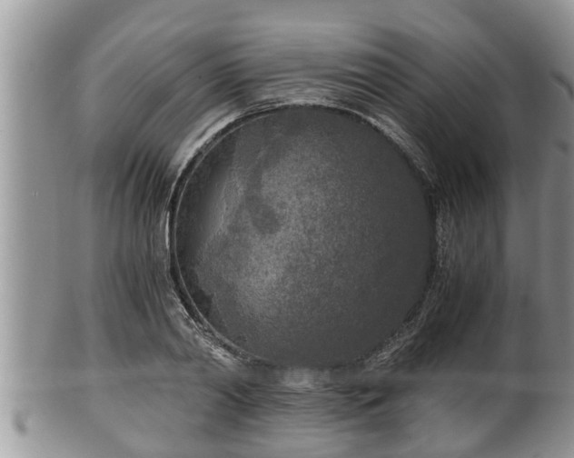 X0000102300790200808011539