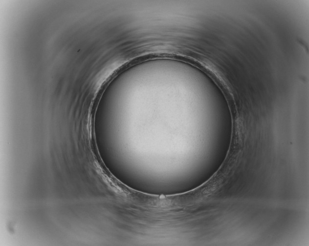 X0000102300791200808011539