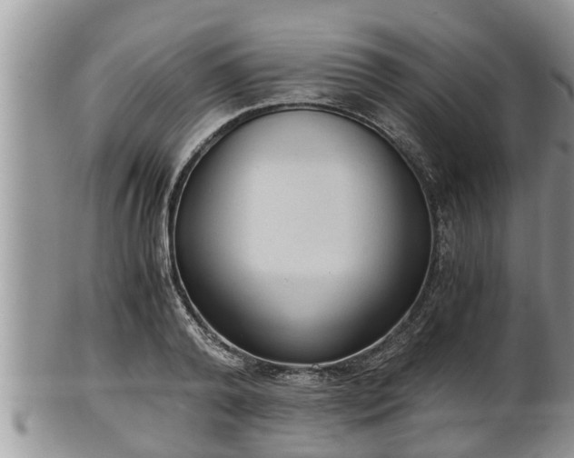 X0000102300792200808011539