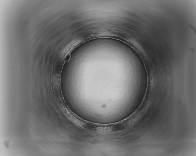 X0000102300793200808011539