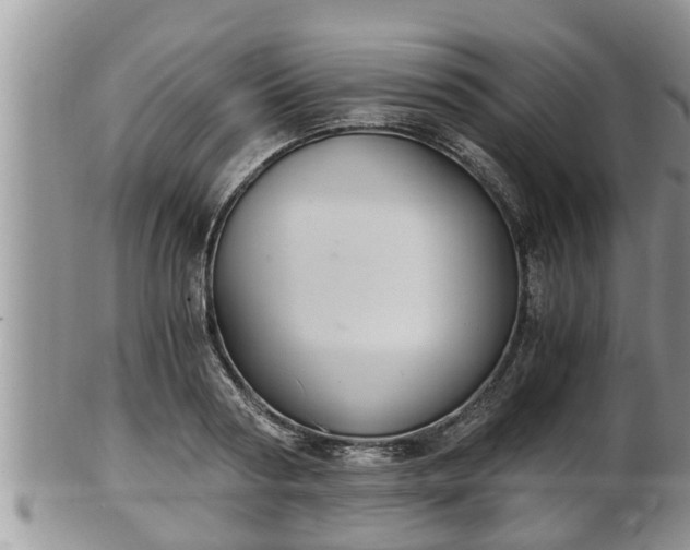 X0000102300794200808011539