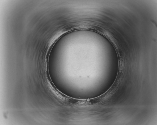 X0000102300795200808011539