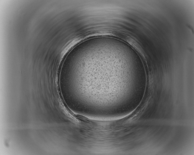 X0000102300797200808011539