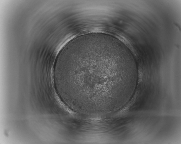 X0000102300798200808011539