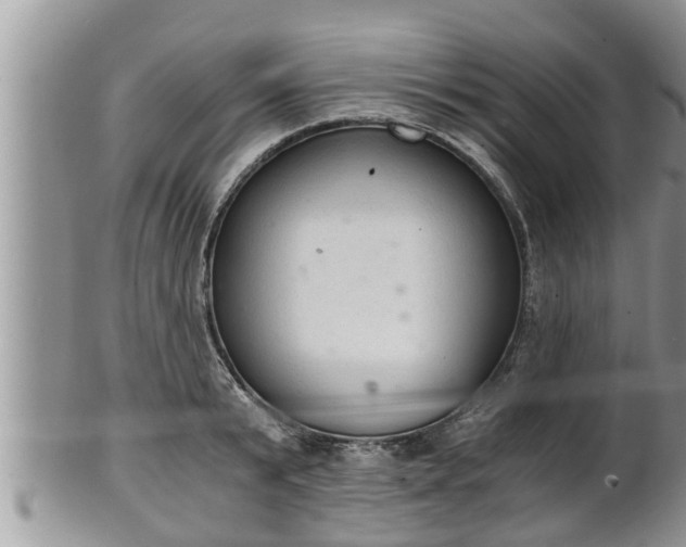 X0000102300799200808011539