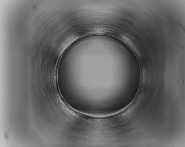 X0000102300802200808011539