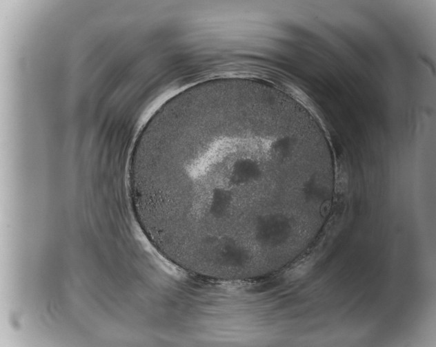 X0000102300803200808011538