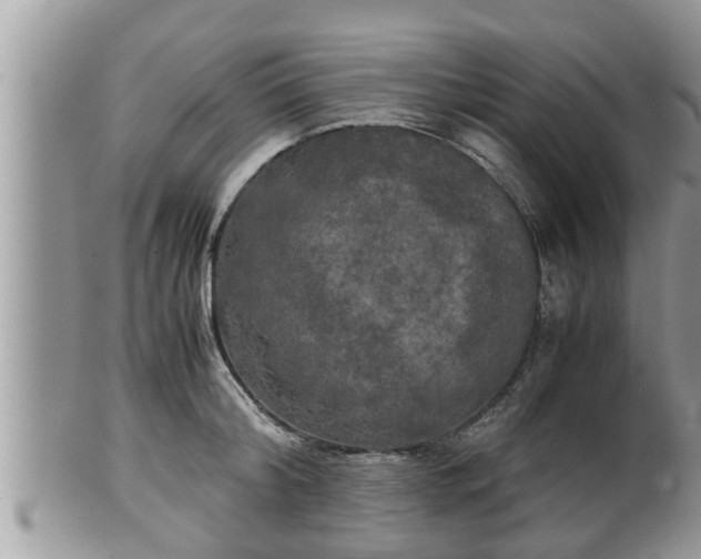 X0000102300804200808011538