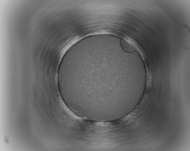 X0000102300805200808011538