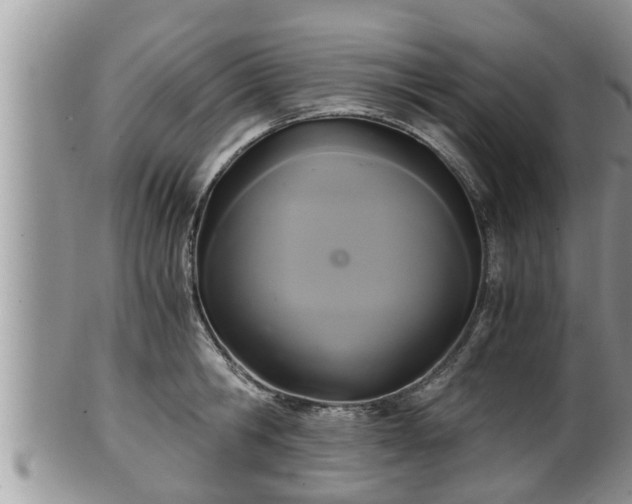 X0000102300806200808011538