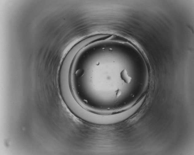 X0000102300807200808011538