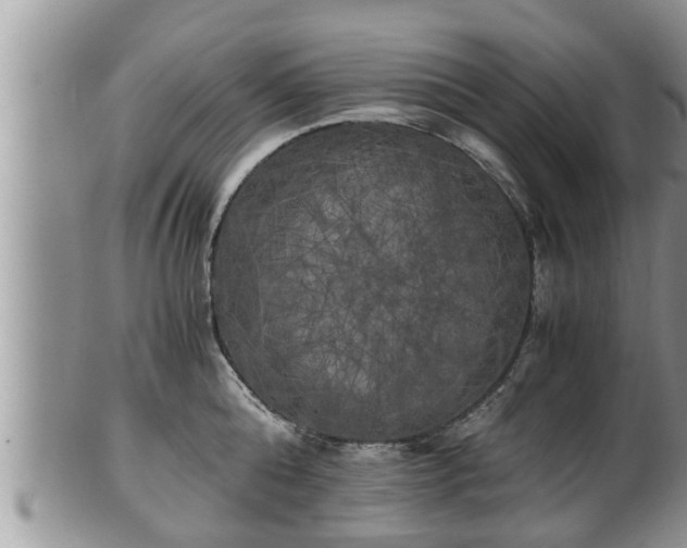 X0000102300808200808011538