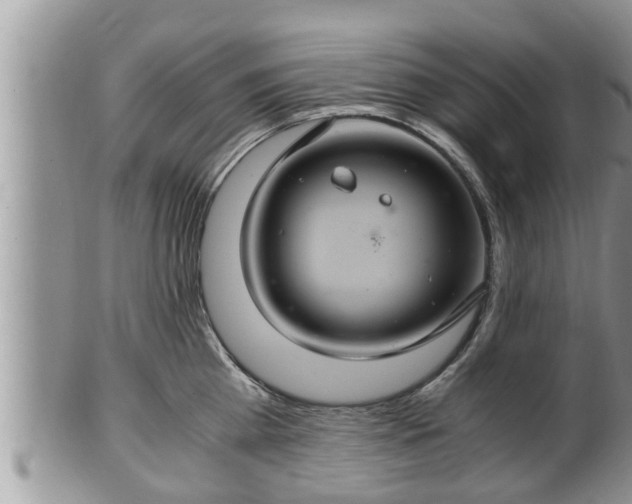 X0000102300809200808011538