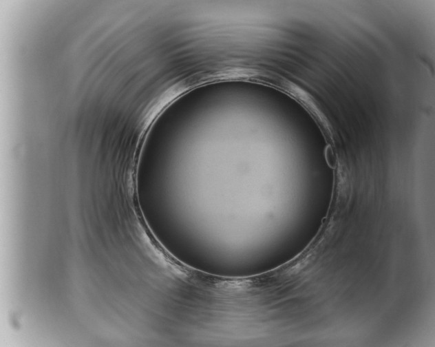 X0000102300810200808011538