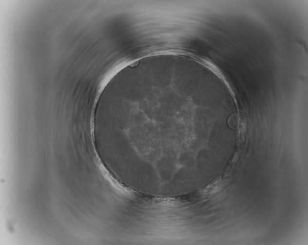 X0000102300811200808011538