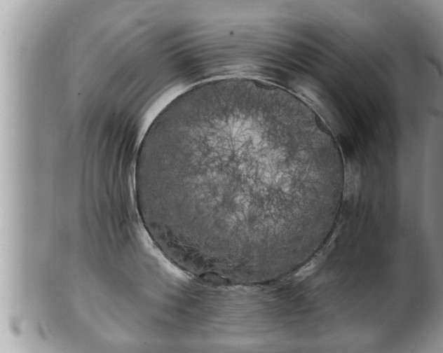 X0000102300812200808011538