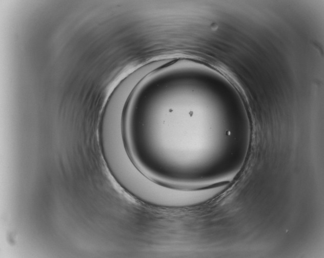 X0000102300813200808011538