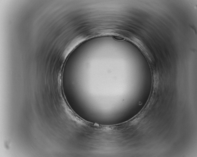 X0000102300814200808011538