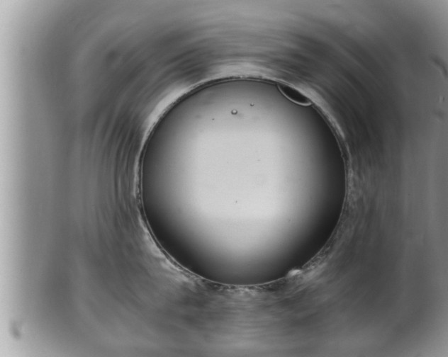 X0000102300815200808011538