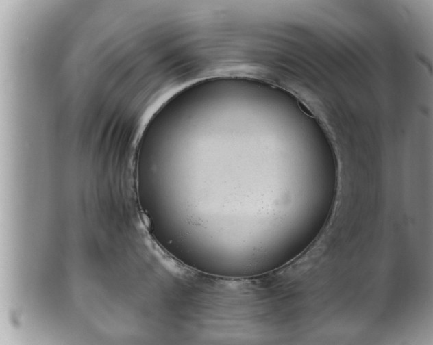 X0000102300816200808011538