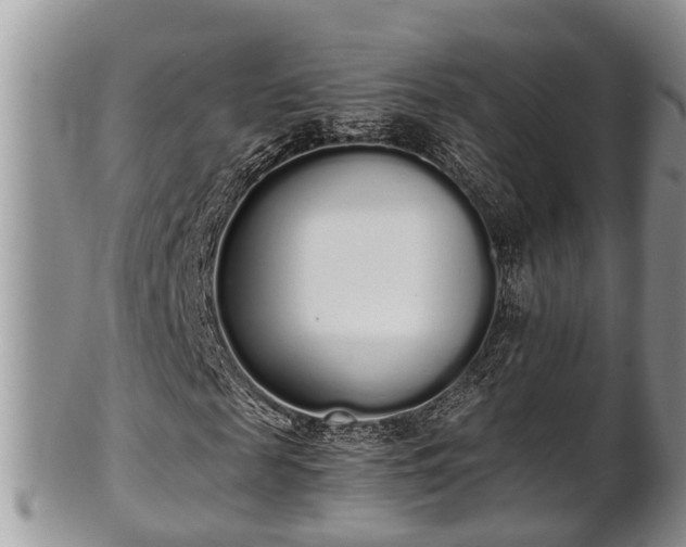 X0000102300817200808011537