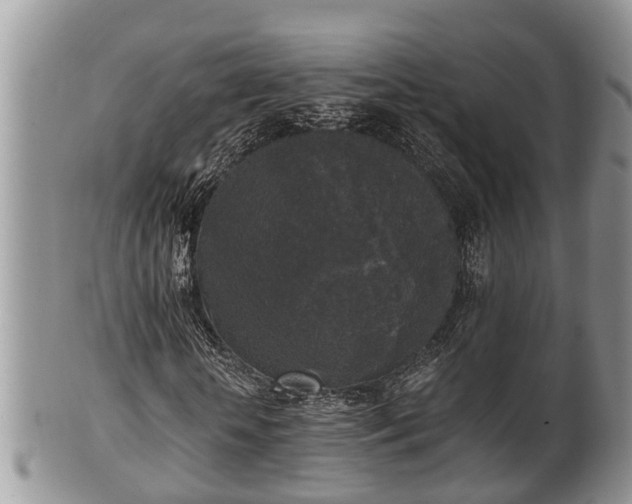 X0000102300818200808011537