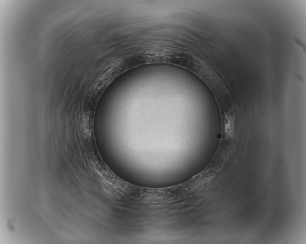 X0000102300819200808011537