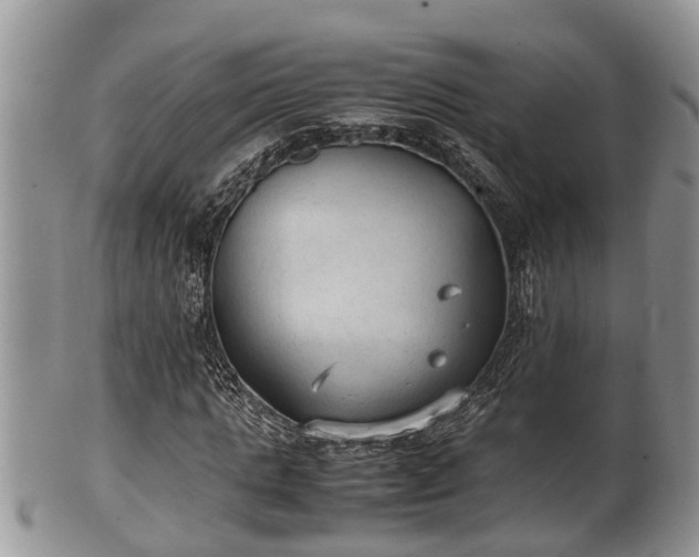 X0000102300821200808011537