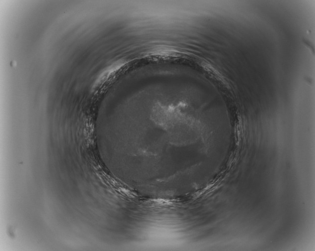 X0000102300822200808011538