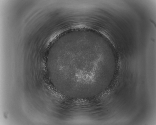 X0000102300823200808011538