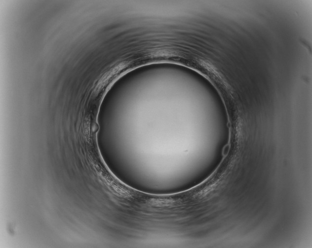 X0000102300825200808011538