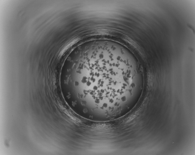 X0000102300826200808011538