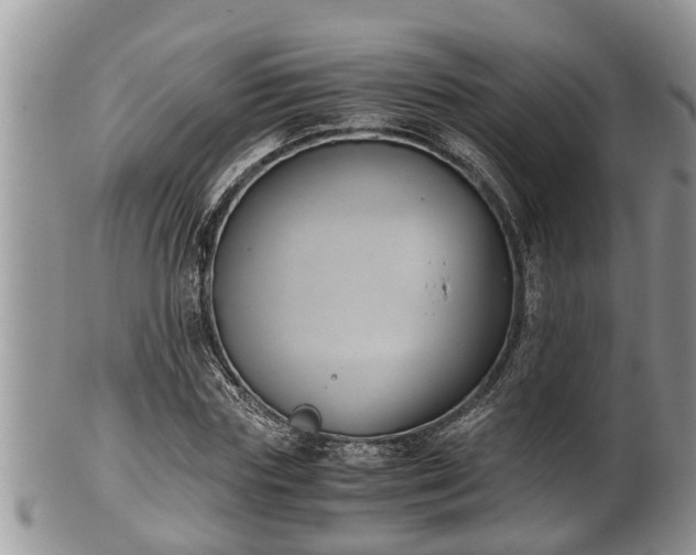 X0000102300827200808011538