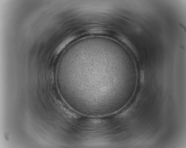 X0000102300829200808011538