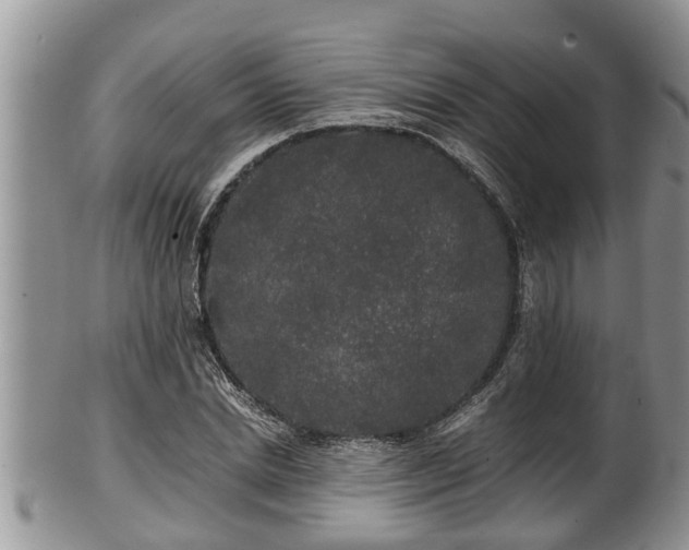 X0000102300830200808011538