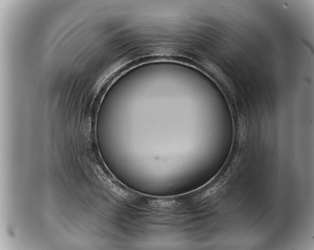 X0000102300831200808011538