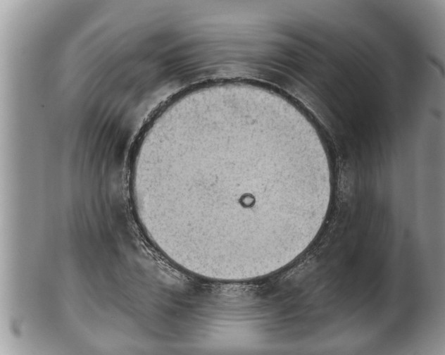 X0000102300832200808011538