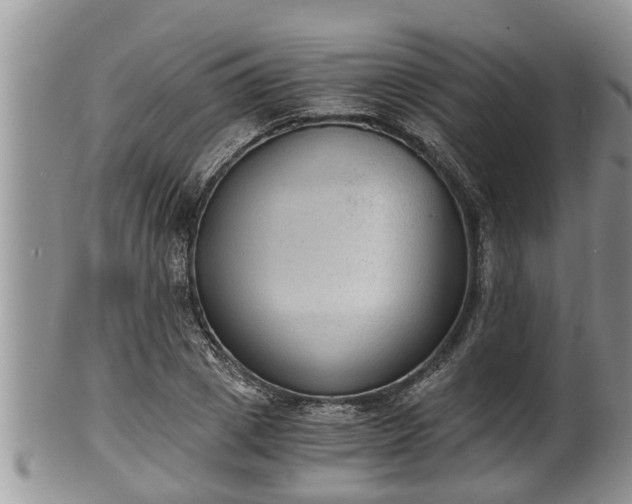 X0000102300833200808011538