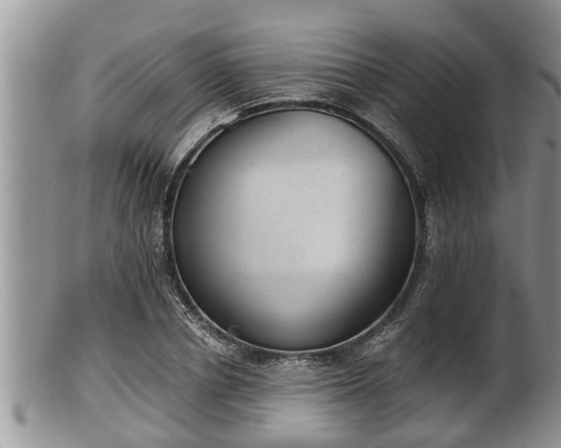 X0000102300834200808011538