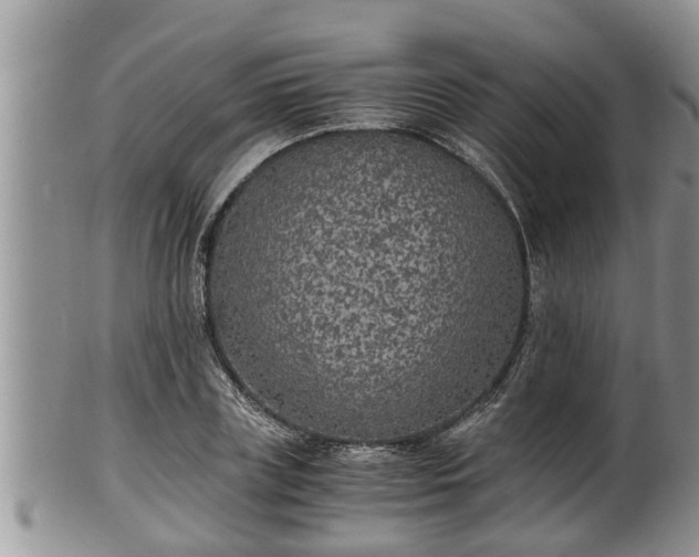 X0000102300835200808011538