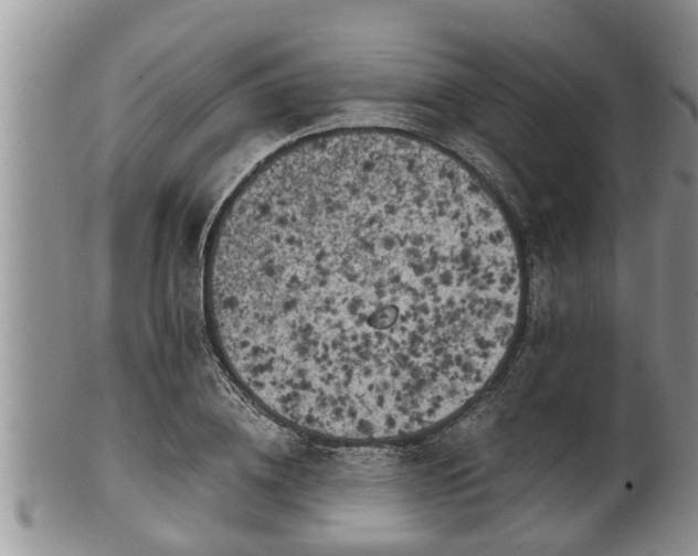 X0000102300836200808011538