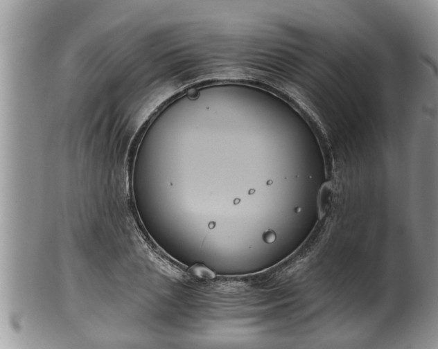 X0000102300837200808011538