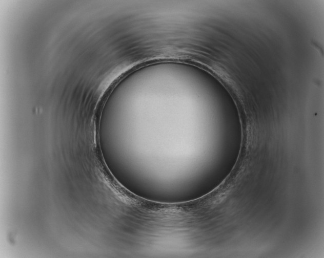 X0000102300838200808011538