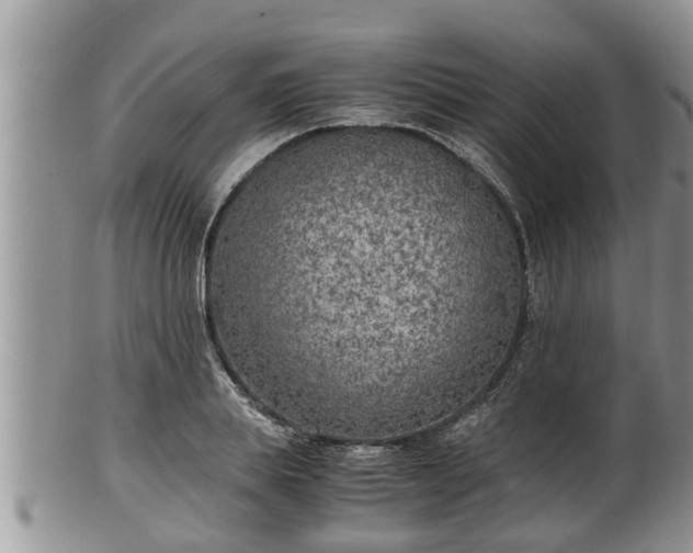 X0000102300839200808011538