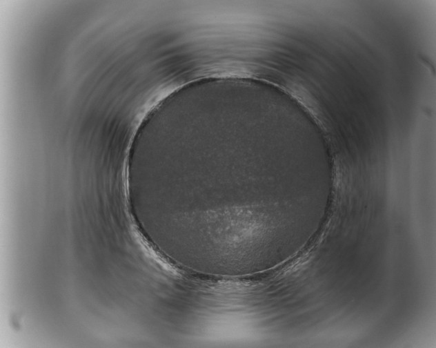 X0000102300840200808011538