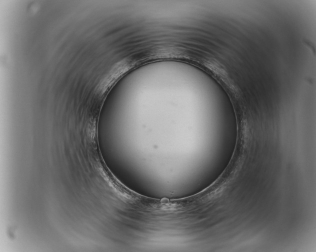 X0000102300841200808011538