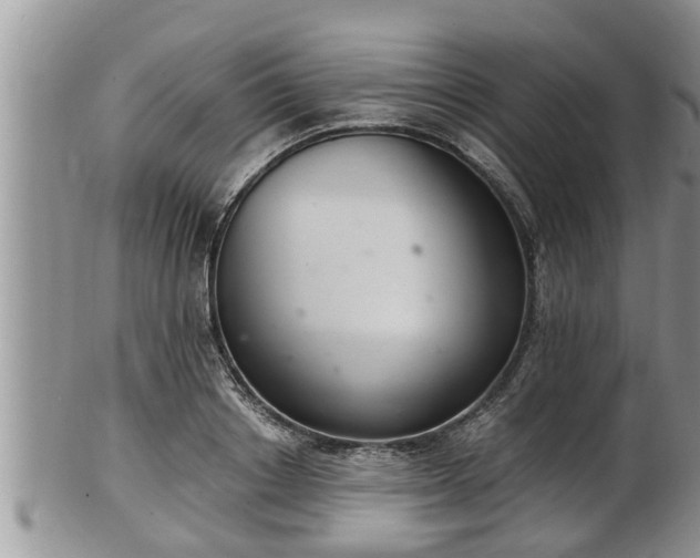 X0000102300842200808011538