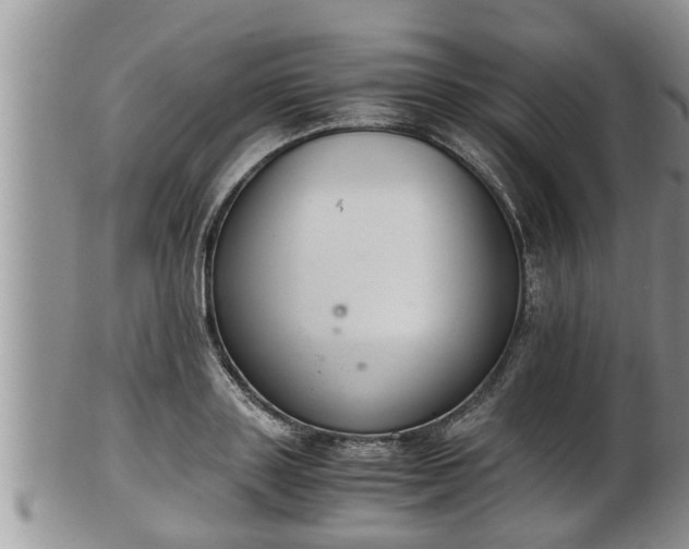 X0000102300843200808011538