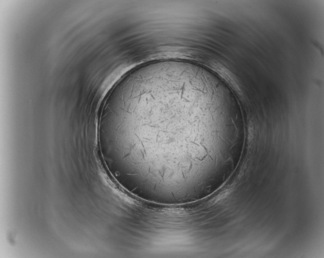 X0000102300844200808011538