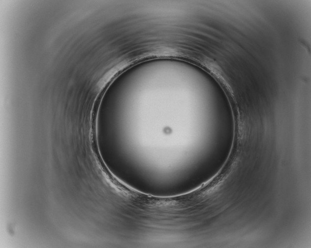 X0000102300845200808011538